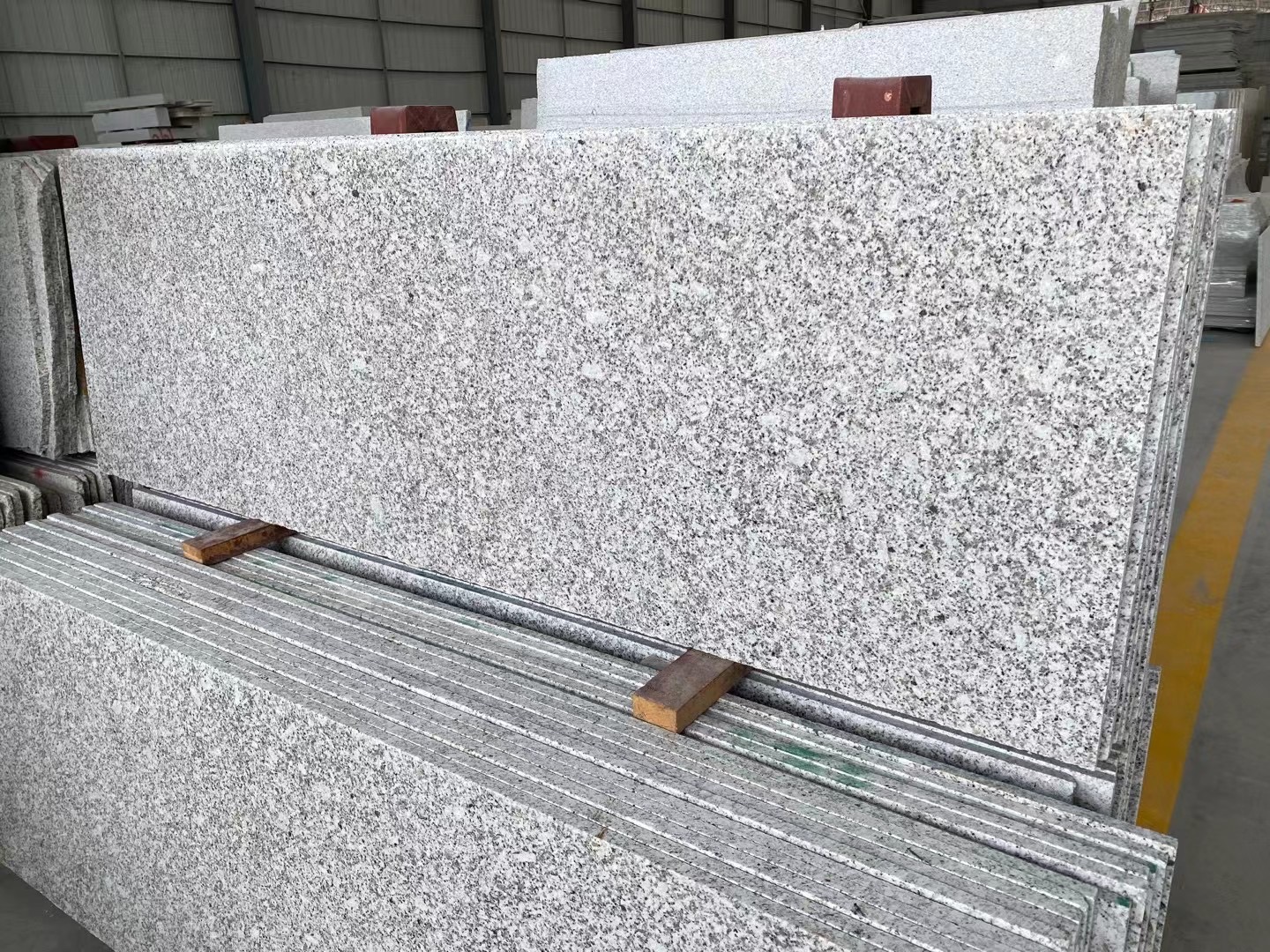 Shandong White Pearl